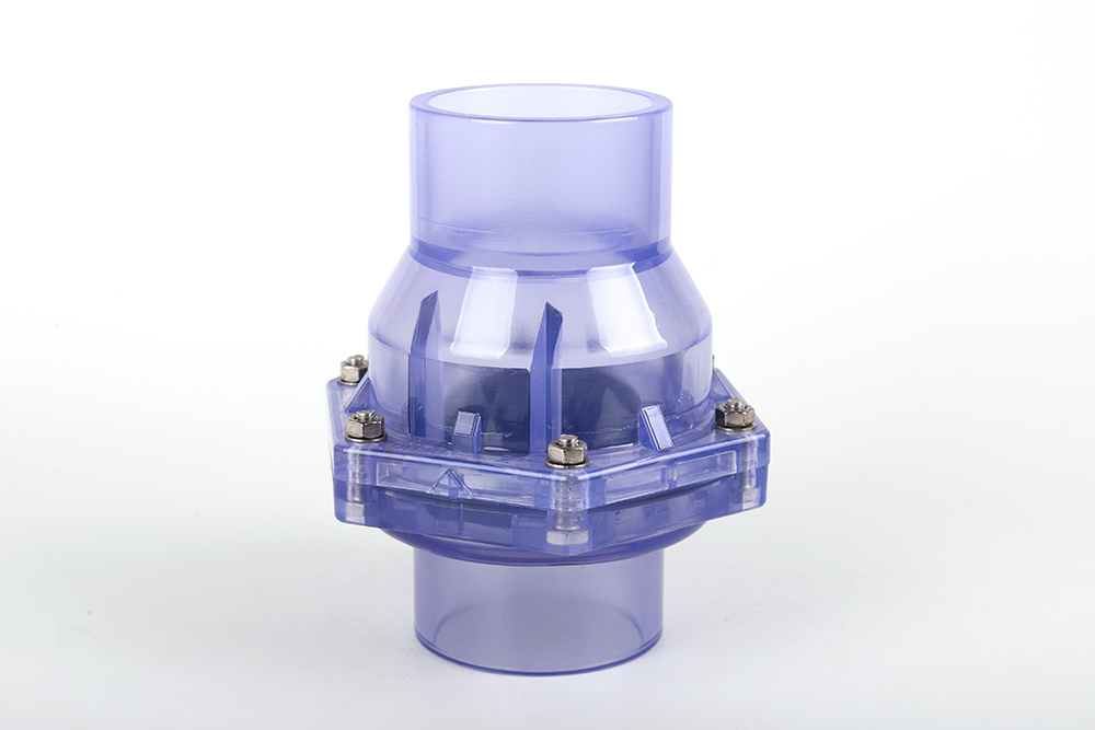 临夏县透明翻板式止回阀